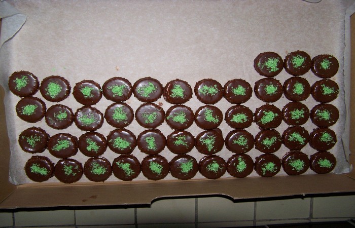 kokosové dortíčky 2 2009.jpg