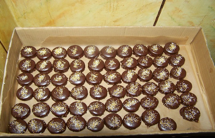 čokoládové dortíčky s trv.kokosovou nádivkou 2009.jpg